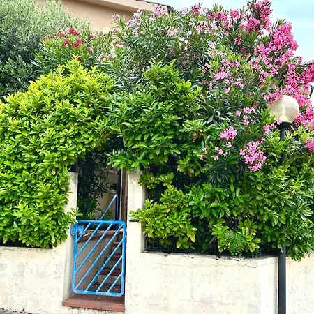 M102 - Marcelli, Delizioso Trilocale Con Giardino Apartament
